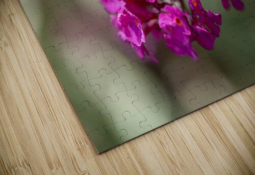 Orange Eye Suzanne Bonin puzzle