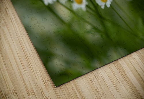 Whispers of Nature Suzanne Bonin puzzle