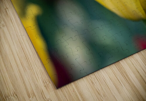 Call Me Fabiola Suzanne Bonin puzzle