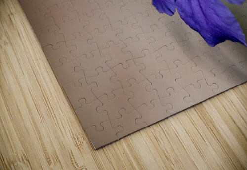 Call Me Violet Suzanne Bonin puzzle