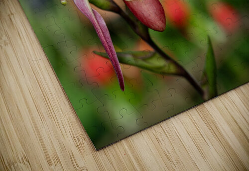 Call Me Willie Suzanne Bonin puzzle