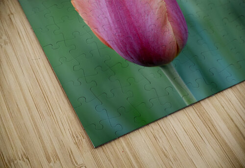 Eyecatching Ones Suzanne Bonin puzzle