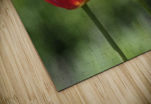 I Choose Red Suzanne Bonin puzzle