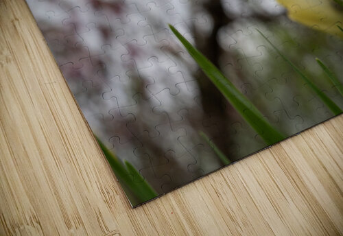 In Good Company Suzanne Bonin puzzle