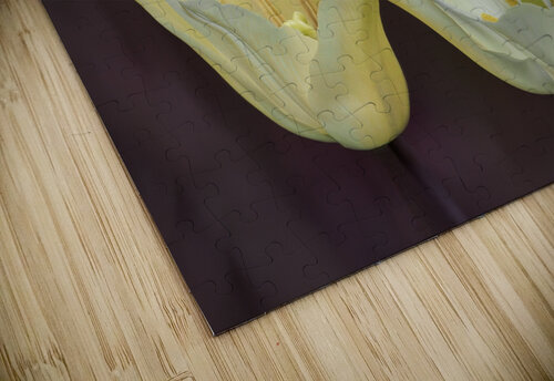 Quite a Pair Suzanne Bonin puzzle