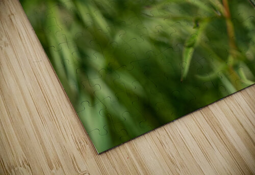 Resilient One Suzanne Bonin puzzle