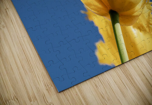 To The Sky Suzanne Bonin puzzle