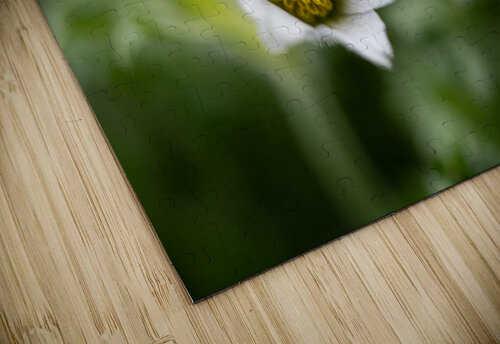 Darling 2 Suzanne Bonin puzzle