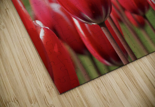 Look at Us Suzanne Bonin puzzle