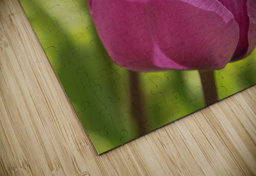 Follow the Leader Suzanne Bonin puzzle