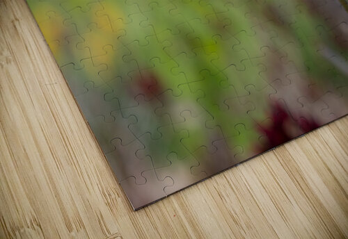 Her Majesty Suzanne Bonin puzzle