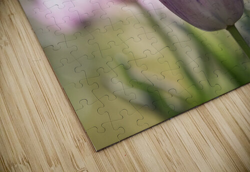 Quite a Beauty Suzanne Bonin puzzle