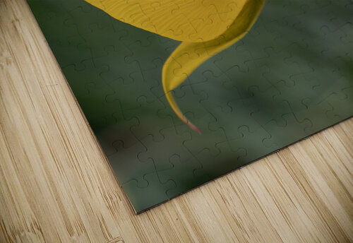 That Way Suzanne Bonin puzzle