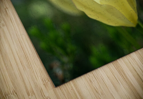 Dreamlike Suzanne Bonin puzzle