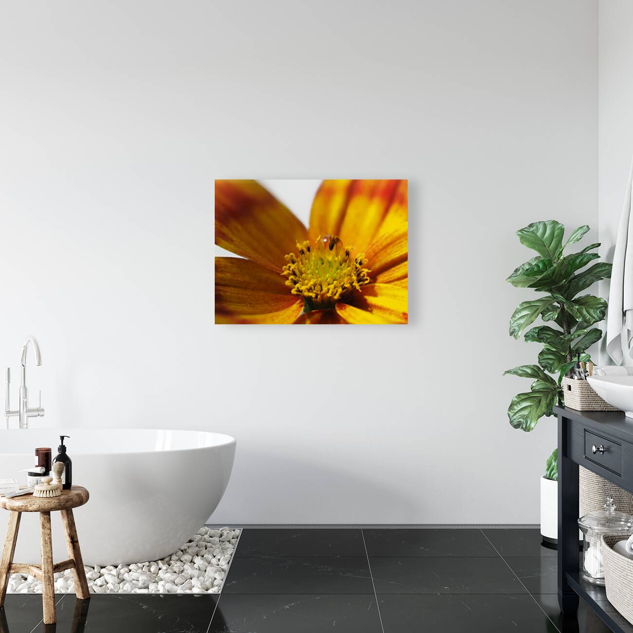 Bidens Ferulifolia Reproduction