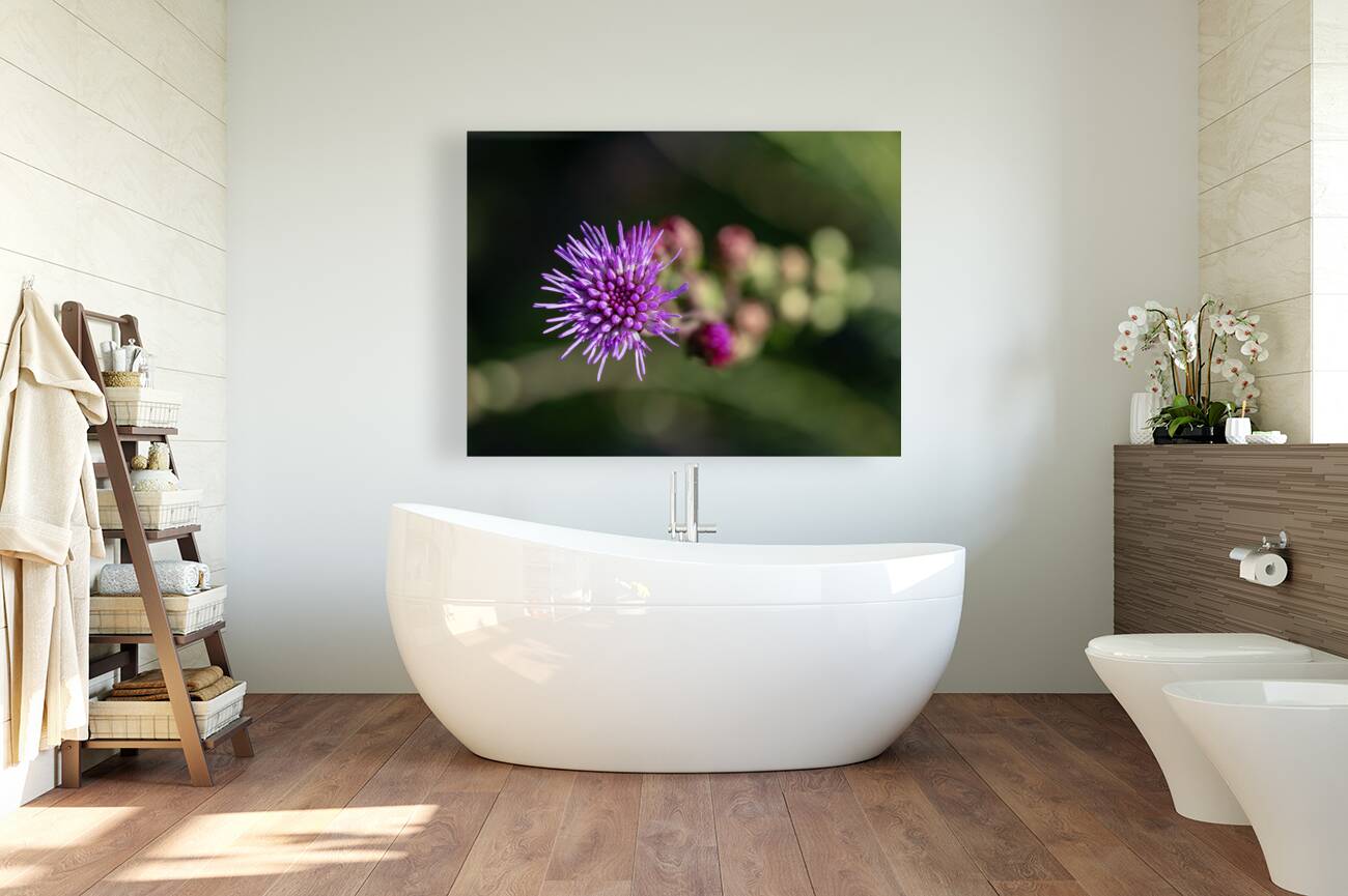 Blazing Star Reproduction