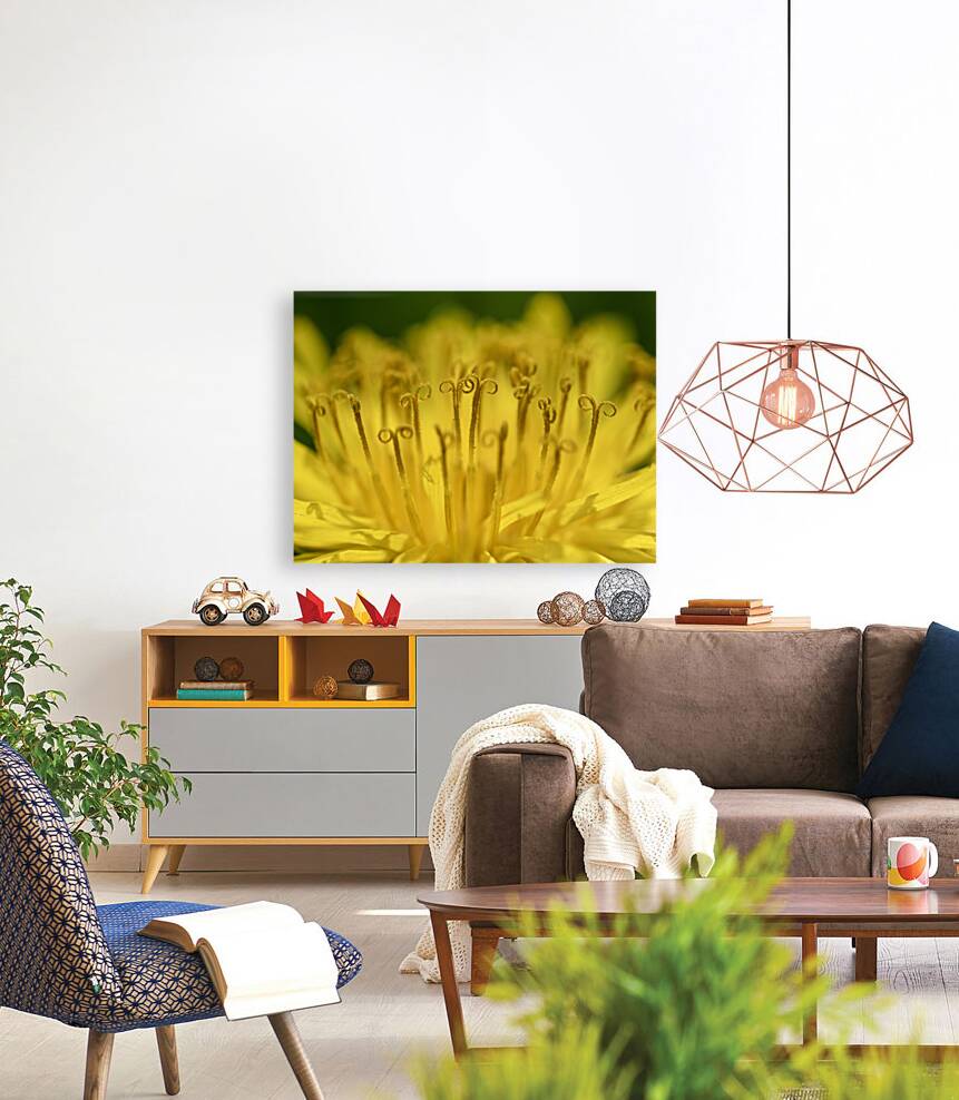 Dandelion Reproduction