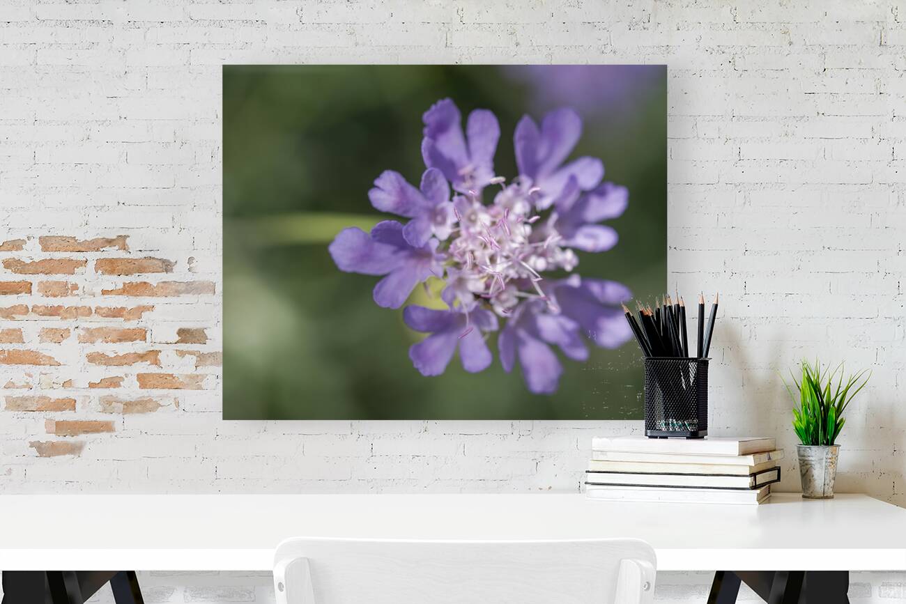 Fluttering Reproduction