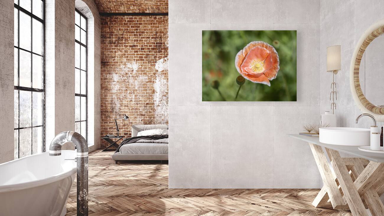 Love Me Reproduction