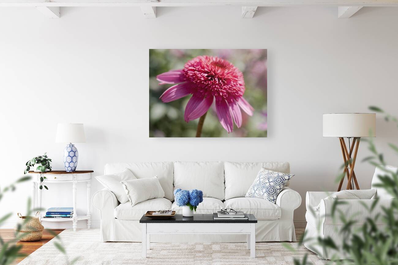 Large Hearted Reproduction