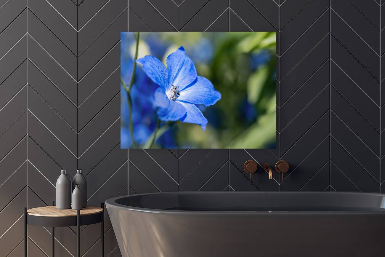 Guardian Lavender Reproduction