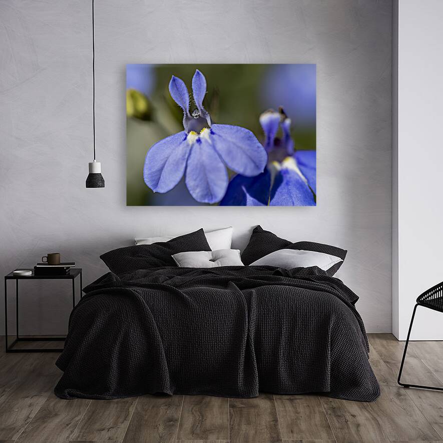 Lobelia Reproduction