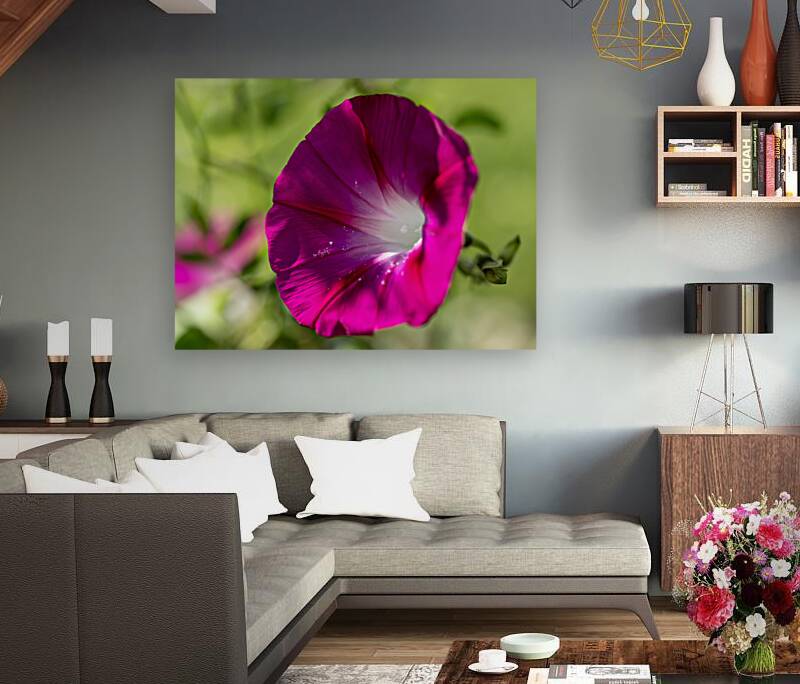 Pretty Trumpet Reproduction