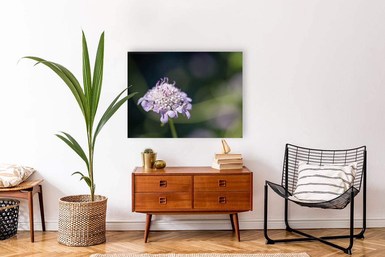 Pincushion Flower Reproduction