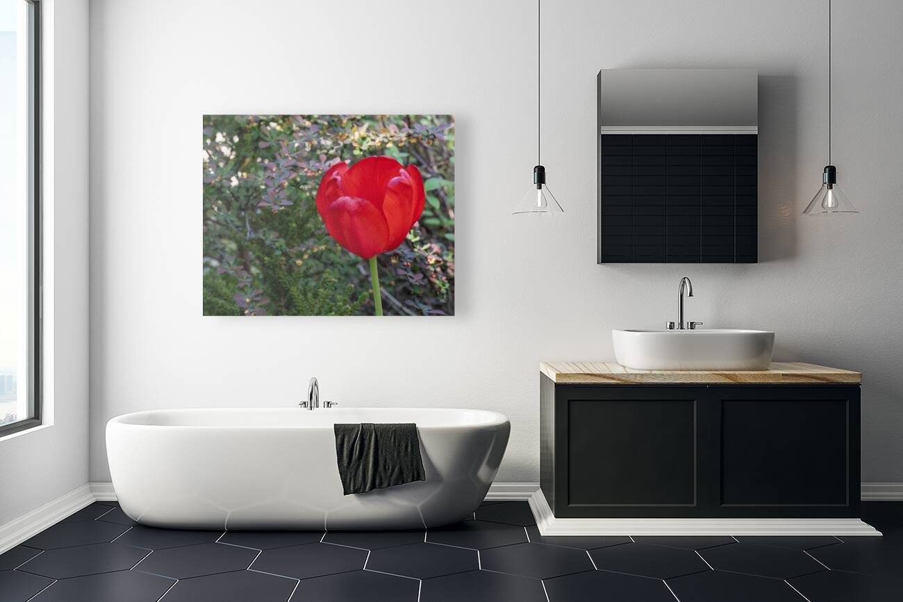 Red as Blood Reproduction