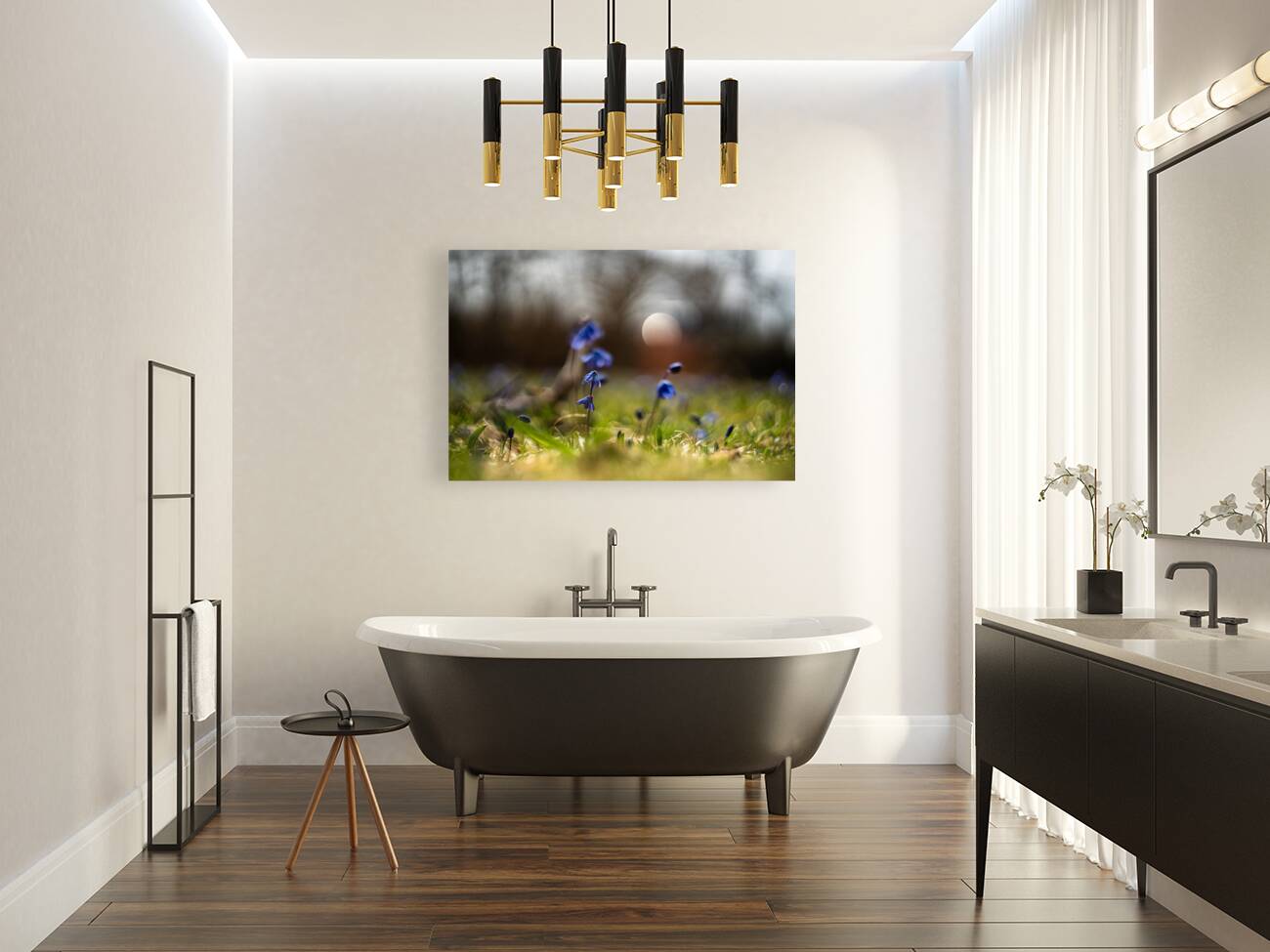 Siberian Squill Reproduction