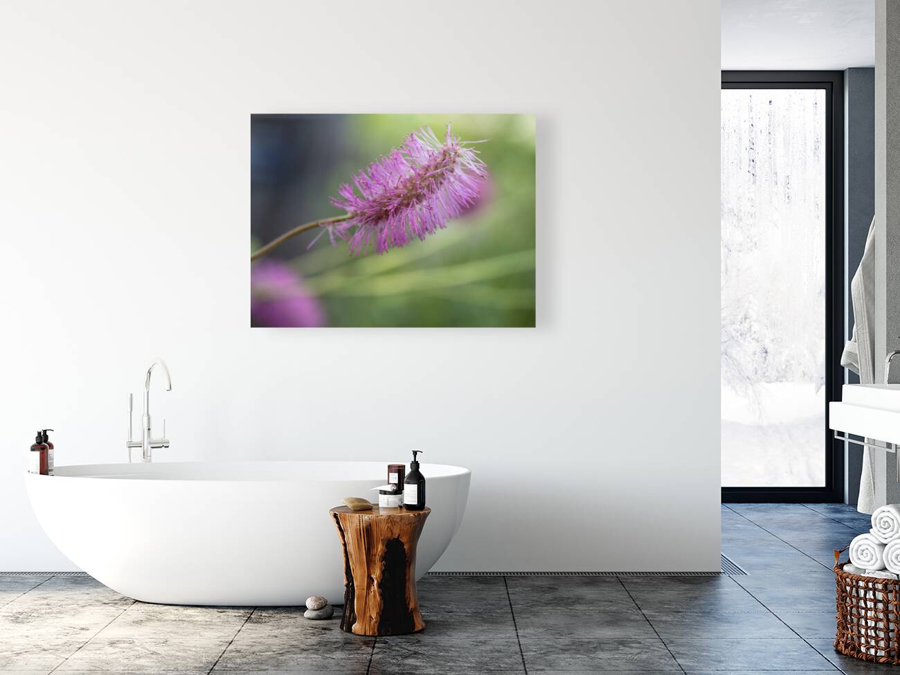 Squirrel Tail Reproduction