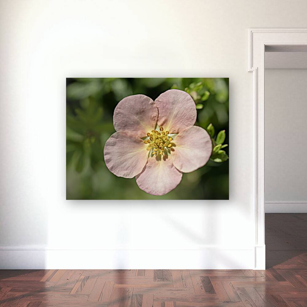 The Wild One Reproduction