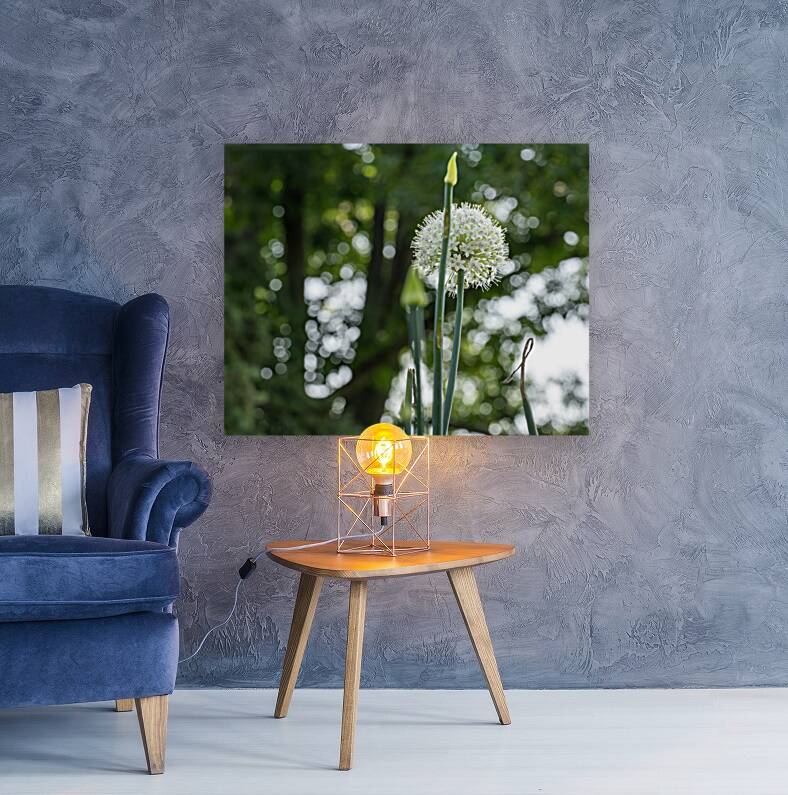 Enchanted Reproduction