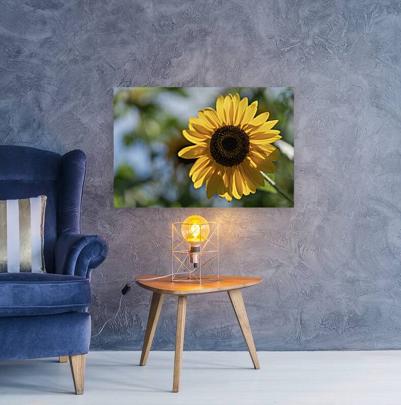 Sunlit Serenade Reproduction