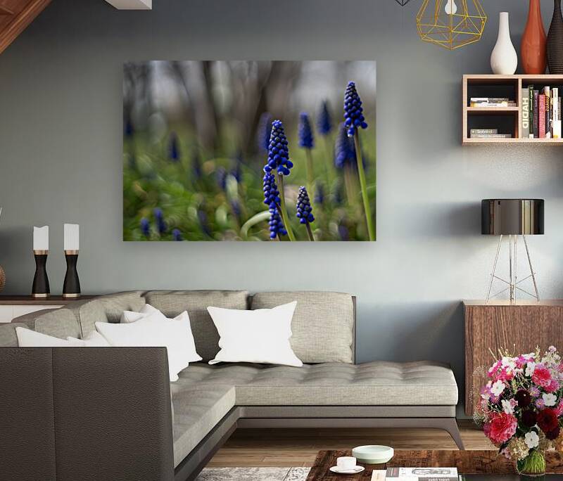 Paradise Perfection Reproduction