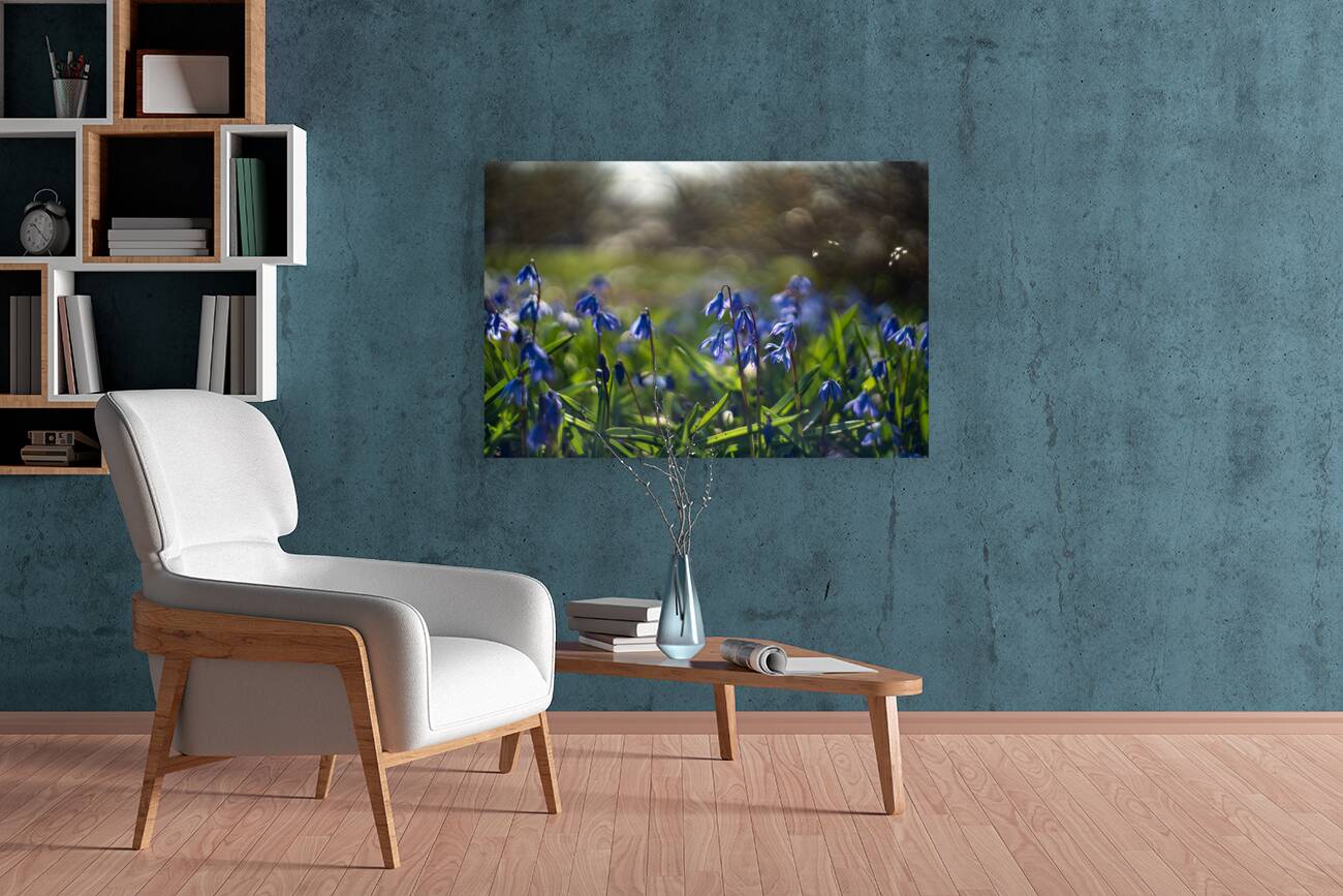 Meadow Melody Reproduction