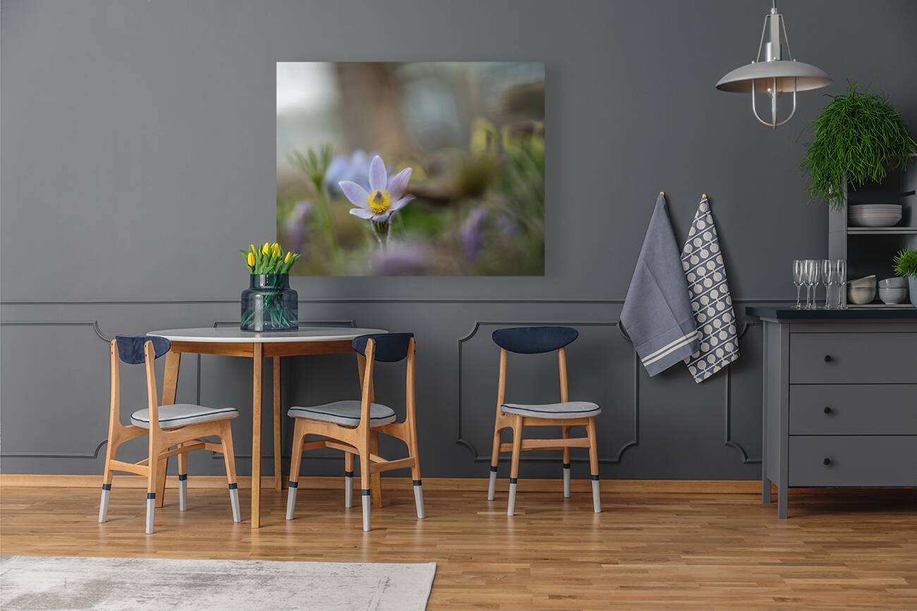 Purple Haze Reproduction