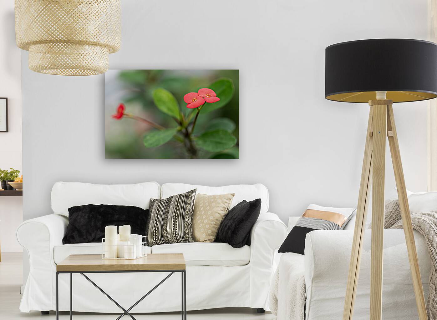 Rosy Red Twilight Reproduction