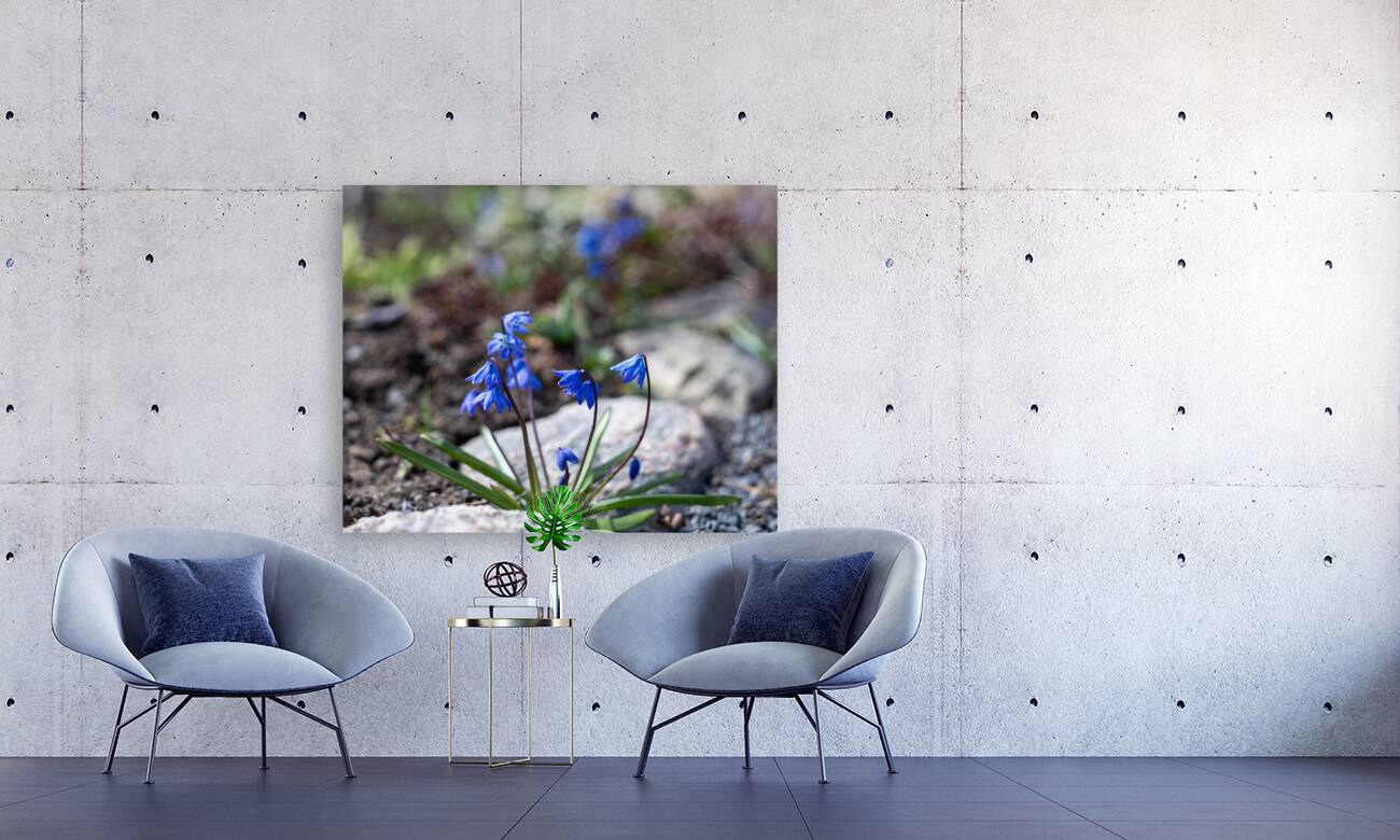 Ethereal Blossoms Reproduction