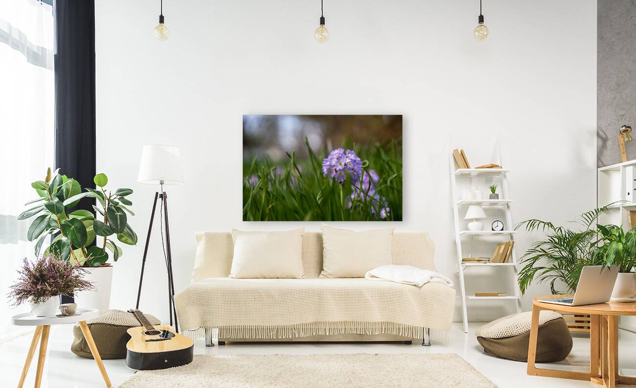 Purple Hues Reproduction