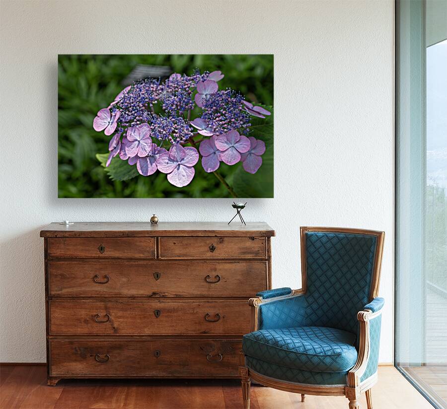 Penny Mac Reproduction