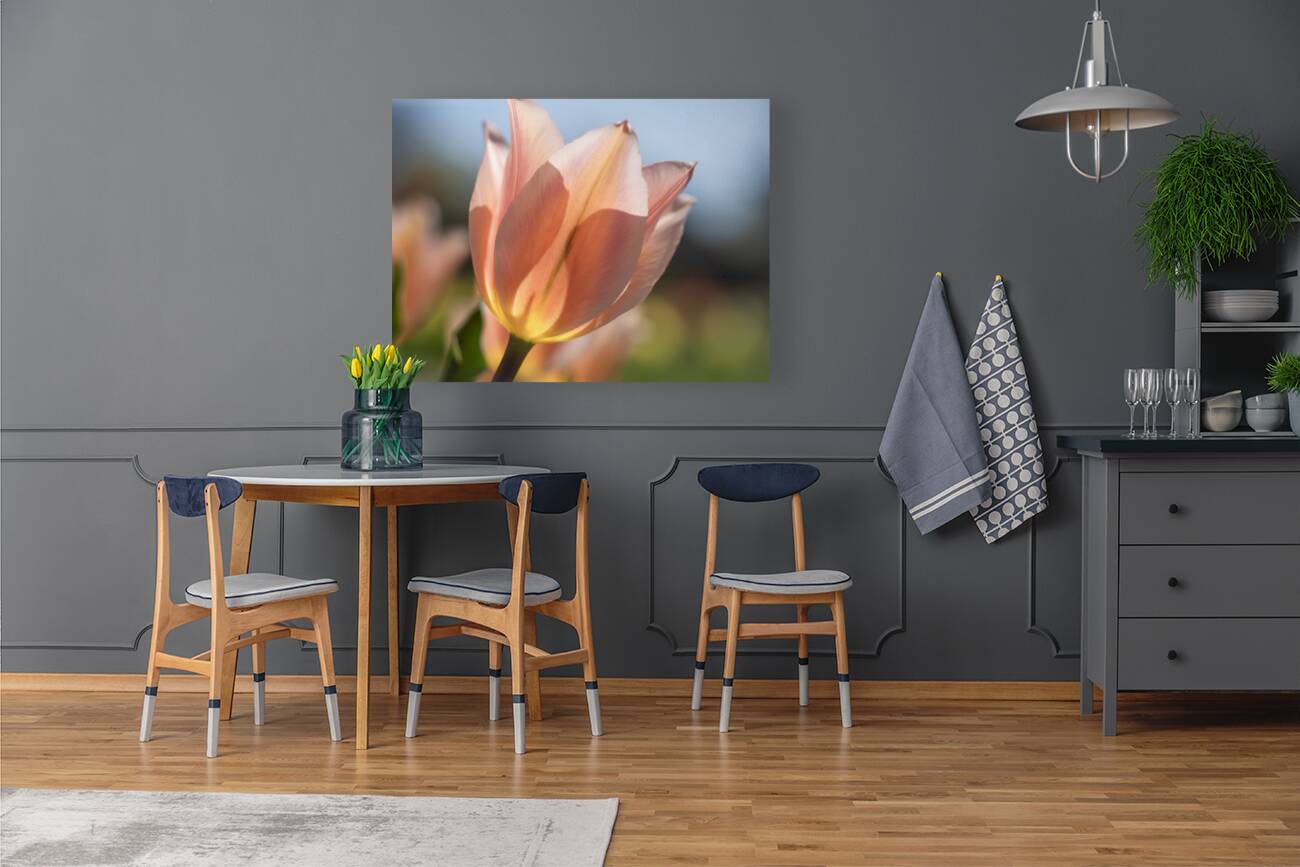 Radiant Reverie Reproduction