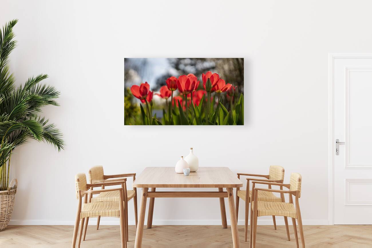 Crimson Blooms Reproduction