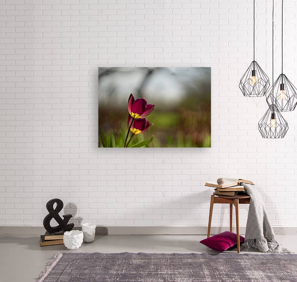 Wine Stained Whispers Reproduction