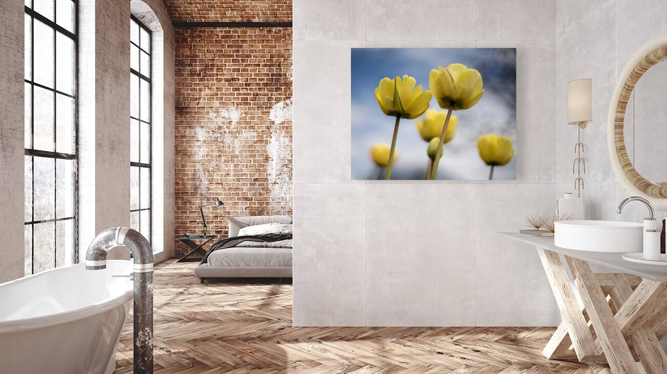 Yellow Cascade Reproduction