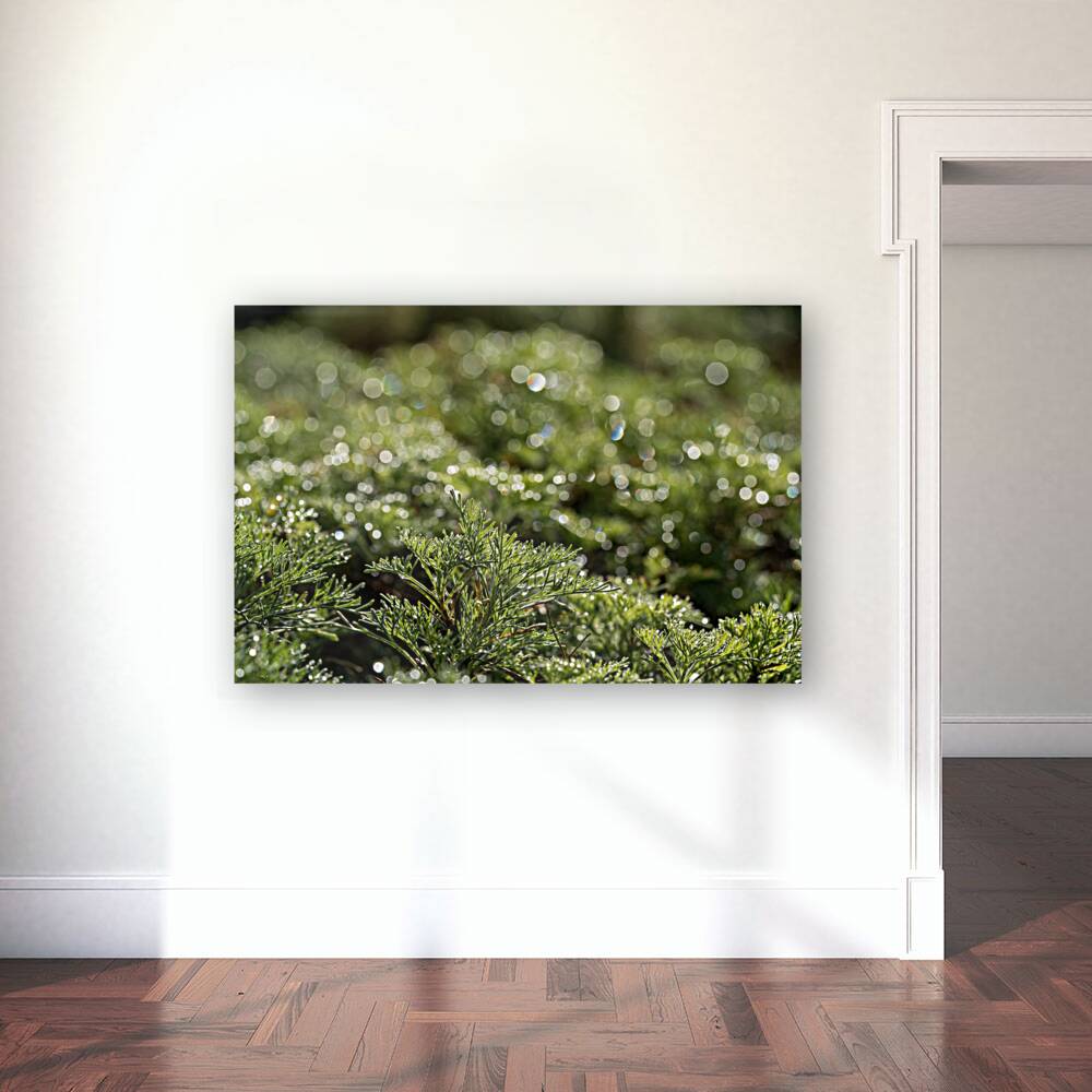 Spring Bokeh Reproduction