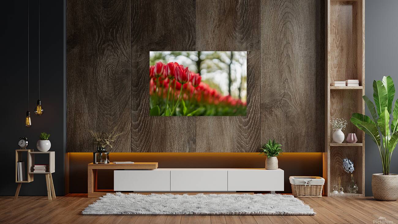  SBP6142 Reproduction