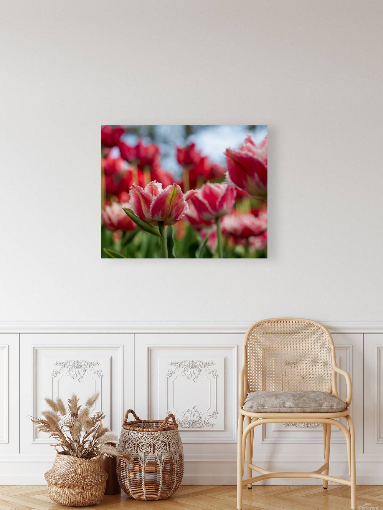  SBP7969 Reproduction