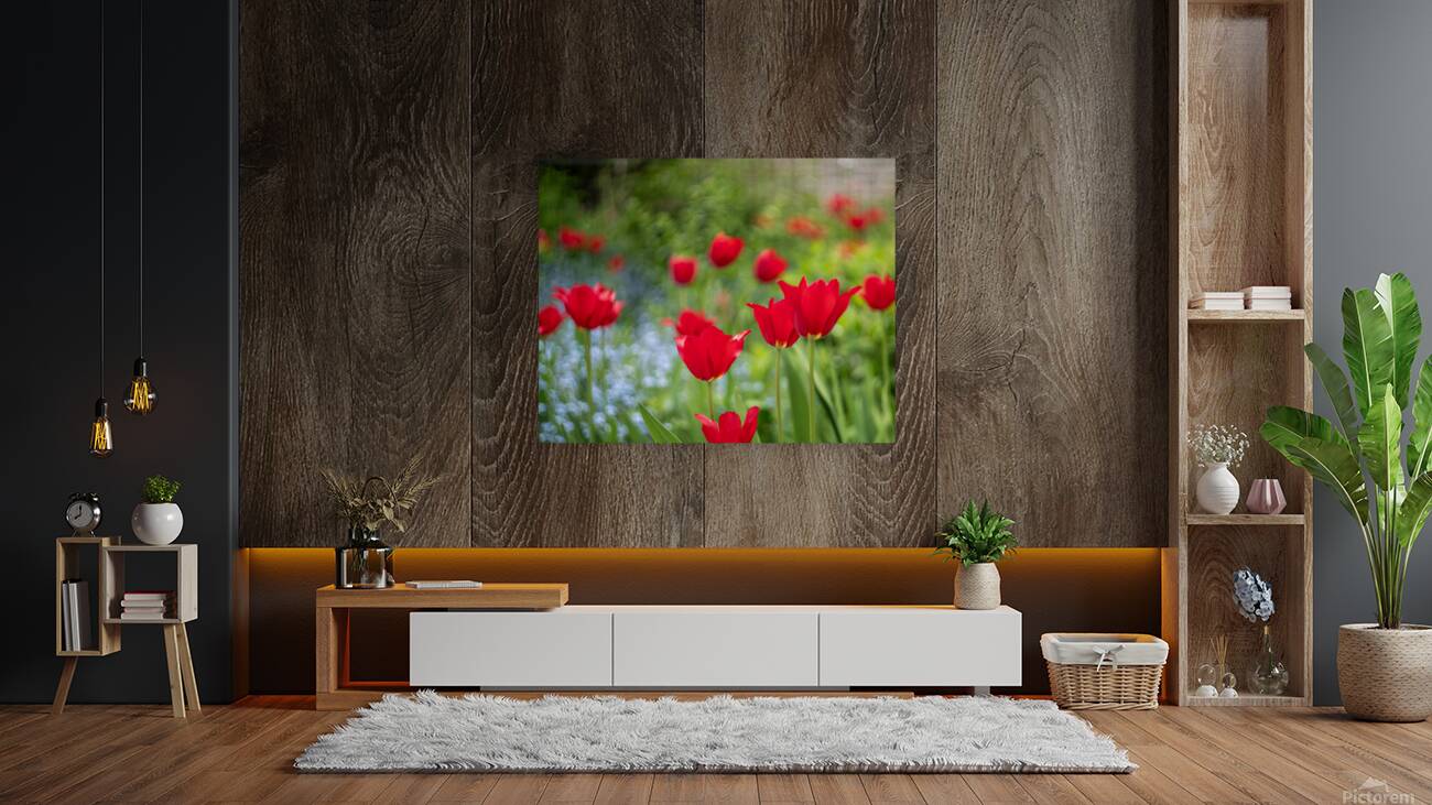  SBP4390 Reproduction