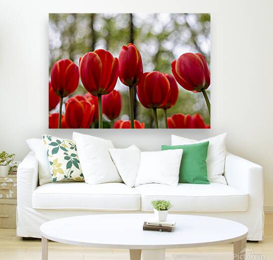  SBP5918 Reproduction